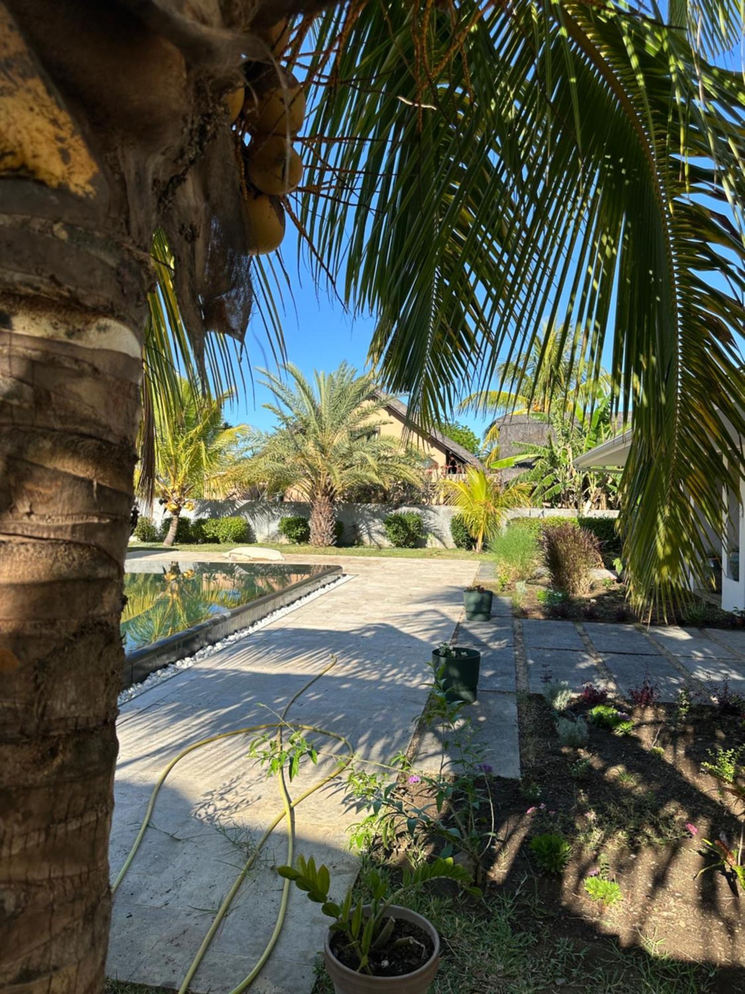 La Savane فيلة ريفير نوار